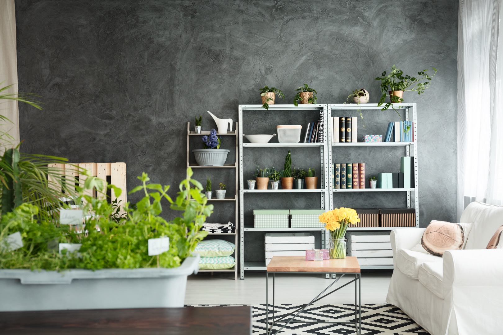Contemporary apartment